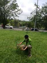 Vivero Distrital, custodios y guardianes de semillas en Cali