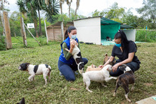 Once tr&aacute;mites gratuitos y cuatro con costo se prestan desde la Secretar&iacute;a de Salud P&uacute;blica 