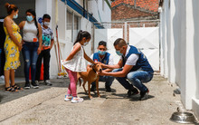Once tr&aacute;mites gratuitos y cuatro con costo se prestan desde la Secretar&iacute;a de Salud P&uacute;blica 