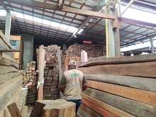 Controles del DAGMA  al sector de muebler&iacute;as y artesan&iacute;as, provenientes de la flora silvestre 