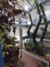 Recuperaci&oacute;n de la plazoleta Jairo Varela en la recta final