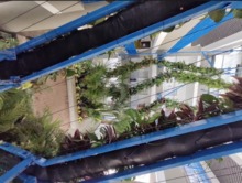 Recuperaci&oacute;n de la plazoleta Jairo Varela en la recta final