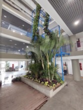 Recuperaci&oacute;n de la plazoleta Jairo Varela en la recta final