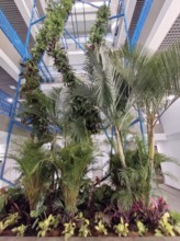 Recuperaci&oacute;n de la plazoleta Jairo Varela en la recta final