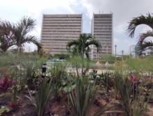 Recuperaci&oacute;n de la plazoleta Jairo Varela en la recta final