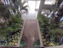 Recuperaci&oacute;n de la plazoleta Jairo Varela en la recta final