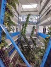 Recuperaci&oacute;n de la plazoleta Jairo Varela en la recta final