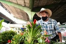 Reflexiones y acciones en el &lsquo;D&iacute;a Mundial del Emprendimiento&rsquo;