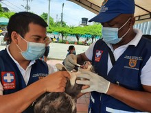 Con medidas de bioseguridad para prevenir el contagio de Covid, se desarroll&oacute; jornada de salud animal 