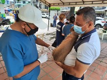 Con medidas de bioseguridad para prevenir el contagio de Covid, se desarroll&oacute; jornada de salud animal 