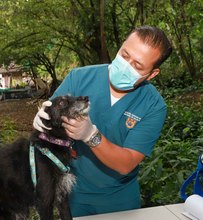  &ldquo;El Centro de Bienestar Animal es un espacio para proteger la vida&rdquo;: Ospina