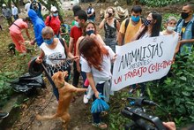  &ldquo;El Centro de Bienestar Animal es un espacio para proteger la vida&rdquo;: Ospina