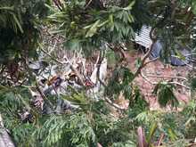 Dagma atiende solicitudes alrededor de la quebrada Guarr&uacute;s en la comuna 20