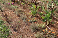 Cuidemos nuestra madre tierra ahora, para poder seguir viviendo el ma&ntilde;ana