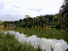 Cuidemos nuestra madre tierra ahora, para poder seguir viviendo el ma&ntilde;ana