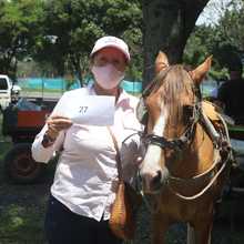 Inici&oacute; el censo a familias con veh&iacute;culos de tracci&oacute;n animal