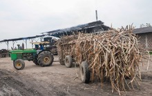 La alimentaci&oacute;n escolar tambi&eacute;n impulsa la reactivaci&oacute;n econ&oacute;mica de Cali