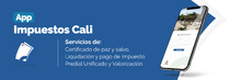 App Impuestos Cali