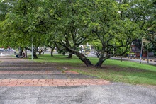 Tras la jornada del Paro, Secretar&iacute;a del Deporte se puso la 10 para embellecer la Unidad Deportiva Jorge Herrera Barona