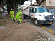 Reiteramos el llamado para no sacar los residuos del hogar a las &aacute;reas p&uacute;blicas