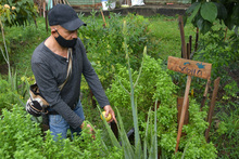 De suelos y sustratos podr&aacute;n aprender los cale&ntilde;os en el curso virtual &ldquo;Haz tu huerta en casa&rdquo; del Dagma.