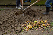 De suelos y sustratos podr&aacute;n aprender los cale&ntilde;os en el curso virtual &ldquo;Haz tu huerta en casa&rdquo; del Dagma.
