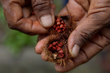 De suelos y sustratos podr&aacute;n aprender los cale&ntilde;os en el curso virtual &ldquo;Haz tu huerta en casa&rdquo; del Dagma.