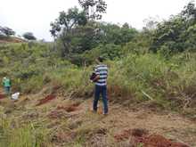 DAGMA y comunidad se unen para sembrar vida