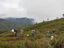 DAGMA y comunidad se unen para sembrar vida
