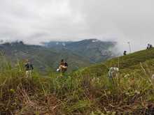 DAGMA y comunidad se unen para sembrar vida
