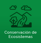 Grupo Conservaci&oacute;n de Ecosistemas