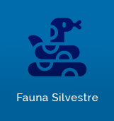 Grupo Fauna Silvestre