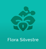 Grupo Flora Silvestre