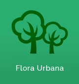 Grupo Flora Urbana