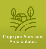 Grupo Pago por Servicios Ambientales