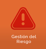 Grupo Gesti&oacute;n del Riesgo