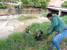 DAGMA recolect&oacute; 2.2 toneladas de residuos de la ribera del r&iacute;o Cali