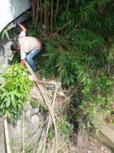 DAGMA recolect&oacute; 2.2 toneladas de residuos de la ribera del r&iacute;o Cali