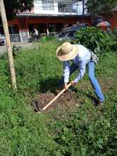 Mediante un taller de crianza de suelo y conexi&oacute;n con la tierra, la comuna 8 aprovecha residuos org&aacute;nicos