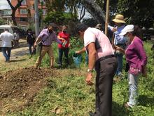 Mediante un taller de crianza de suelo y conexi&oacute;n con la tierra, la comuna 8 aprovecha residuos org&aacute;nicos