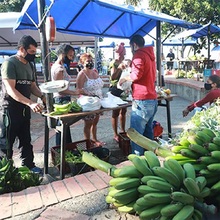 Un mercado campesino de esperanza y reencuentro