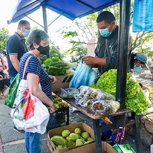 Un mercado campesino de esperanza y reencuentro