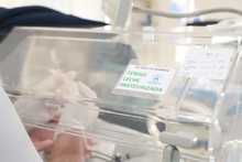 Donar leche materna, un gesto para dar vida