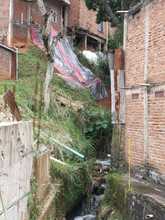 Dagma contin&uacute;a acciones de educaci&oacute;n ambiental en una Cali unida por la vida