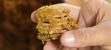 Cali y el Mundo conmemoran el d&iacute;a mundial  de las Abejas