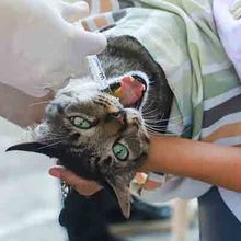  &lsquo;Salud al Barrio&rsquo; atendi&oacute; a la poblaci&oacute;n de la comuna 16