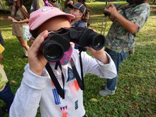 Avistamiento de aves