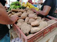 Mesa de abastecimiento hace seguimiento al ingreso de alimentos