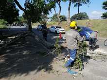 Educaci&oacute;n ambiental, otra estrategia desplegada por el DAGMA para atender emergencia sanitaria