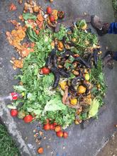 Habitantes del barrio Calima se conectan con la tierra a trav&eacute;s de la &lsquo;Agrocultura Urbana&rsquo;